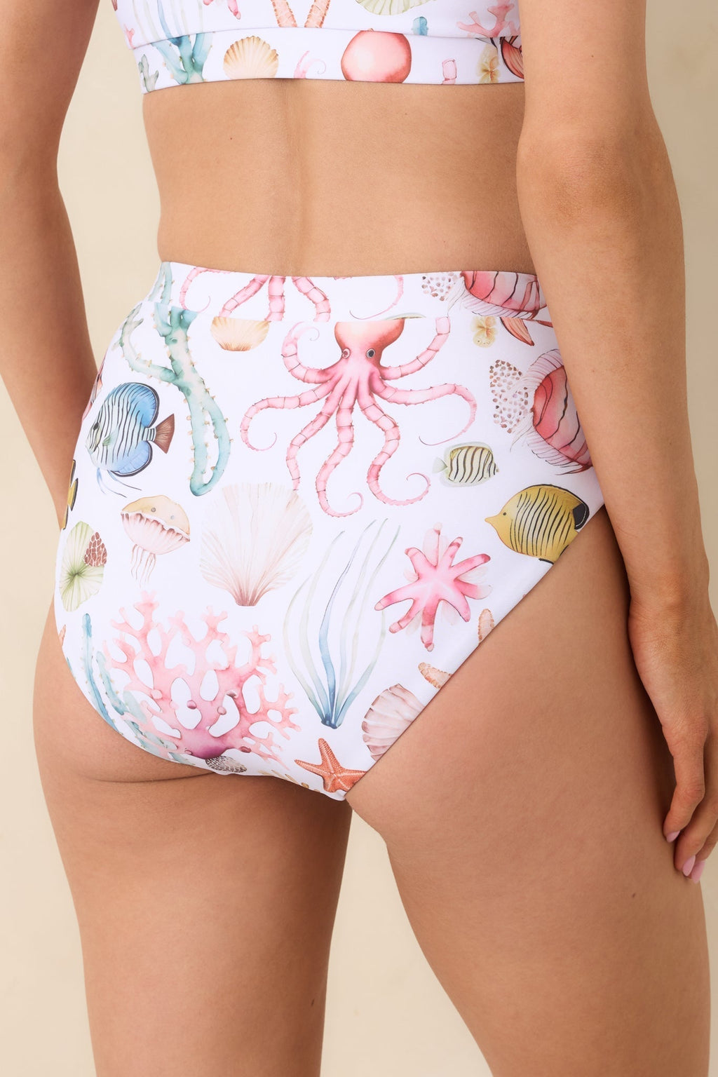 Women's Paradisa Delphina Multi High Waist Bikini Bottoms | 85% Polyester & 15% Spandex 4